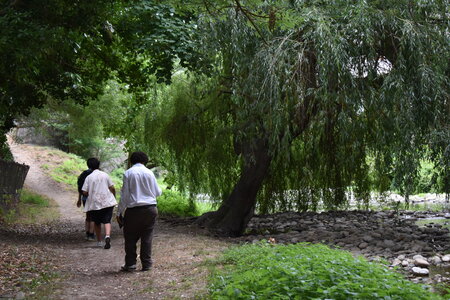 MIMA2026, DSC_1651
