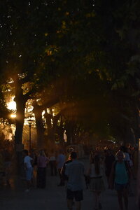 MIMA2026, DSC_1819
