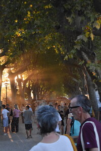 MIMA2026, DSC_1820