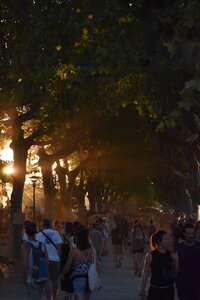 MIMA2026, DSC_1821