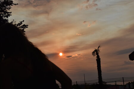 MIMA2026, DSC_0213