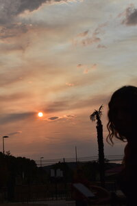 MIMA2026, DSC_0215