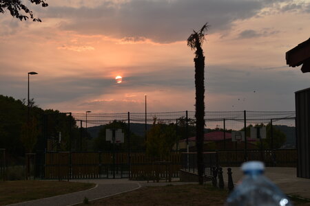 MIMA2026, DSC_0267