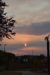 MIMA2026, DSC_0271