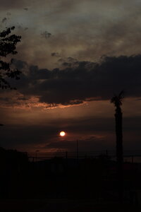 MIMA2026, DSC_0282