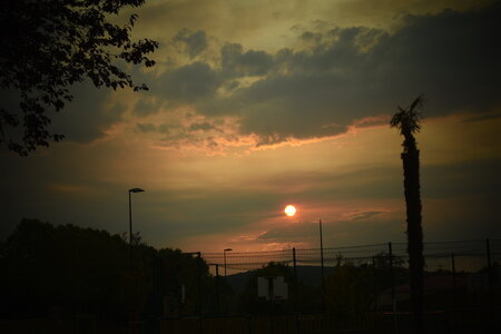 MIMA2026, DSC_0284