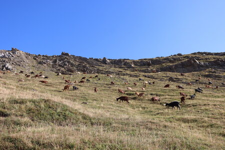 Sommet de la Blanche, IMG_2768