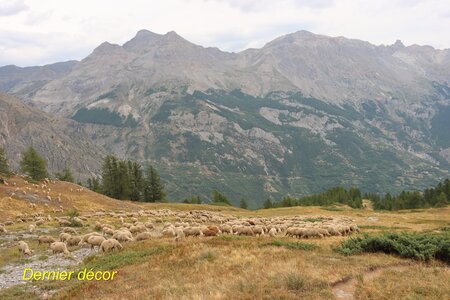 Sommet de la Blanche, IMG_2806