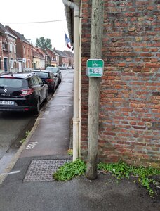 coc_pn2026, IMG_20260819_155327