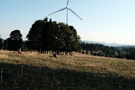 Séjour en Suisse chez Marion, août 2026, DSCF8931