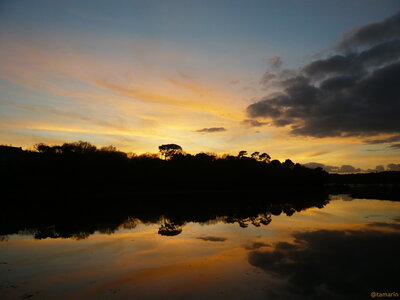 Blogz, Coucher de soleil (Tamarin)