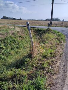 coc_pn2026, IMG_20260823_095350
