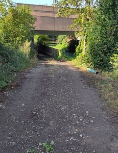 coc_pn2026, IMG_20260823_101249