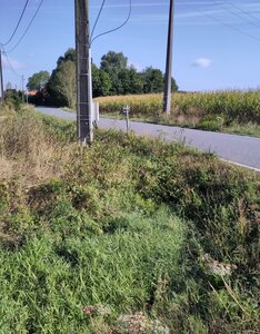 coc_pn2026, IMG_20260823_102459