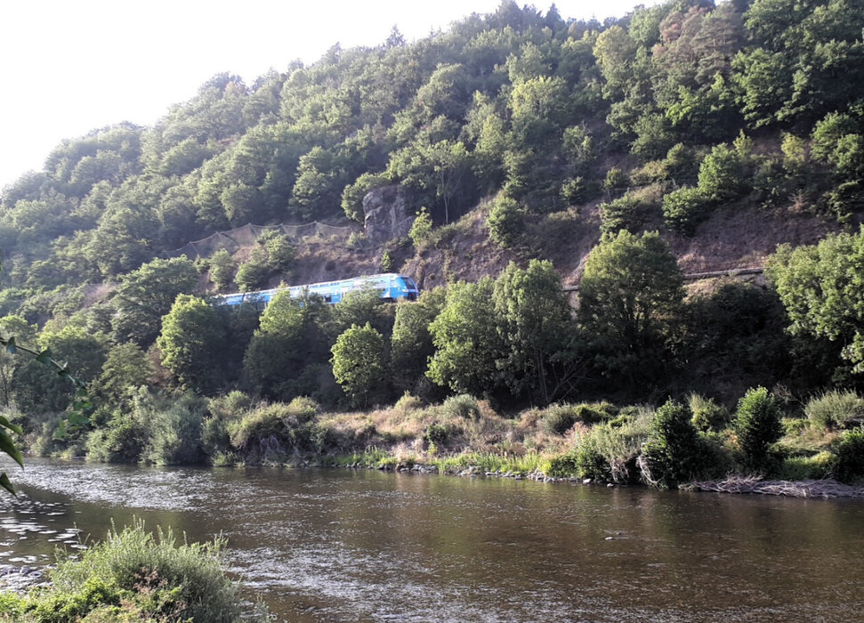 Ter AURA