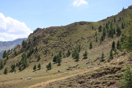 Pic du Morgon par les traverses, IMG_2845
