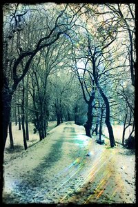 Belles photos, Chemin enneigé