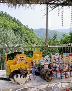 settimana 1-5 settembre, fedex2jpg