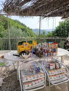 settimana 1-5 settembre, fedex3