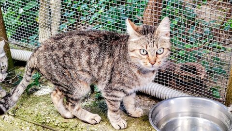 settimana 1-5 settembre, madame guarita5