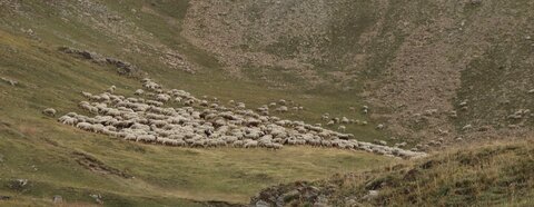 La Tête de Vautisse, IMG_2857