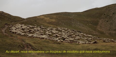 La Tête de Vautisse, IMG_2858