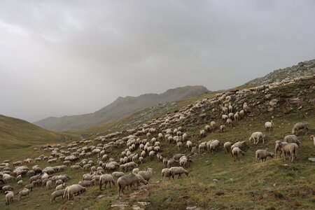 La Tête de Vautisse, IMG_2859