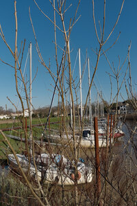 @fmbdx@piaille.fr 2026, Plassac, Gironde