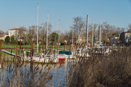 @fmbdx@piaille.fr 2026, Plassac, Gironde