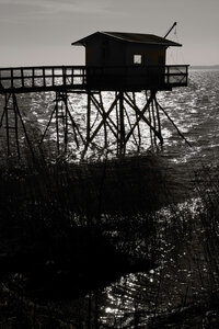 @fmbdx@piaille.fr 2026, Plassac, Gironde