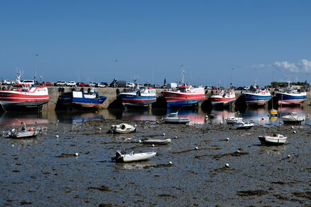 Roscoff_Sept_2026, DSCF8990