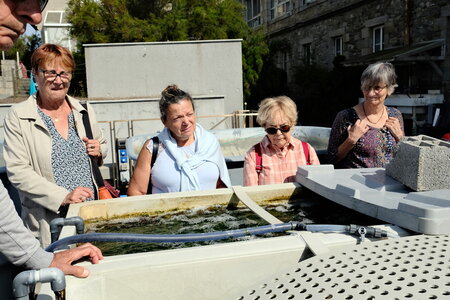 Roscoff_Sept_2026, DSCF9029