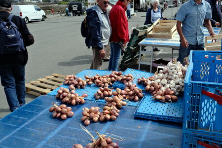 Roscoff_Sept_2026, DSCF9126