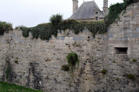 Roscoff_Sept_2026, DSCF9163