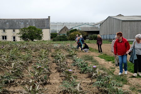 Roscoff_Sept_2026, DSCF9205
