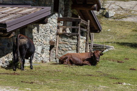 09-2026-Grand Paradis, _MG_7414