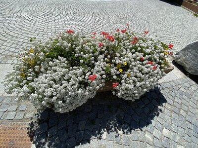 Aoste J1, IMG_4600