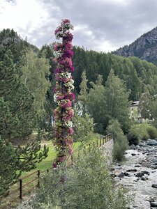 Aoste J2, IMG_4283