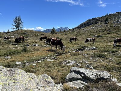 Aoste J3, IMG_4325