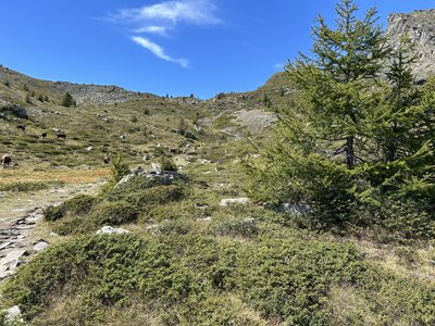 Aoste J3, IMG_4326
