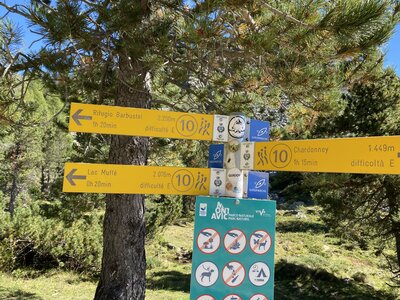 Aoste J3, IMG_4641