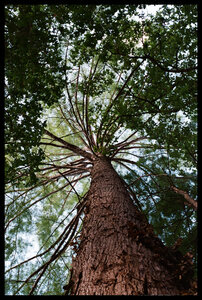 Argentique couleur, P001_KU400_PT_27_encadr&eacute;e