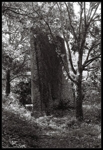 Noir et blanc, P002_IHP400_10_encadr&eacute;e