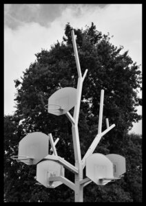 Noir et blanc, IMG_7152_PT