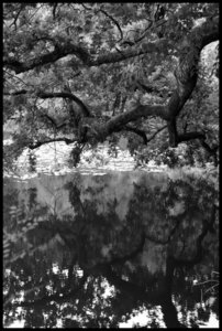 Noir et blanc, IMG_6885_PT