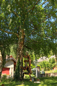 Festival Montagn'Arts 2026 photos de Marie STINUS, LesMontagnarts_mariestinus-81