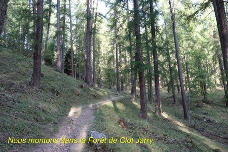 Mont Guillaume et Lac de L'Hivernet, IMG_2908