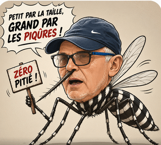 Finales tournoi des platanes 2026, image1