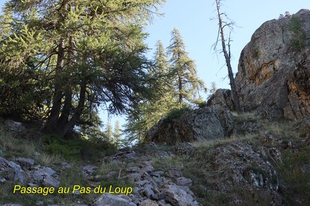 Les Tenailles de Montbrison et la Croix de la Salcette, IMG_2963