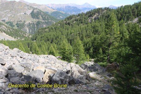 Les Tenailles de Montbrison et la Croix de la Salcette, IMG_3003